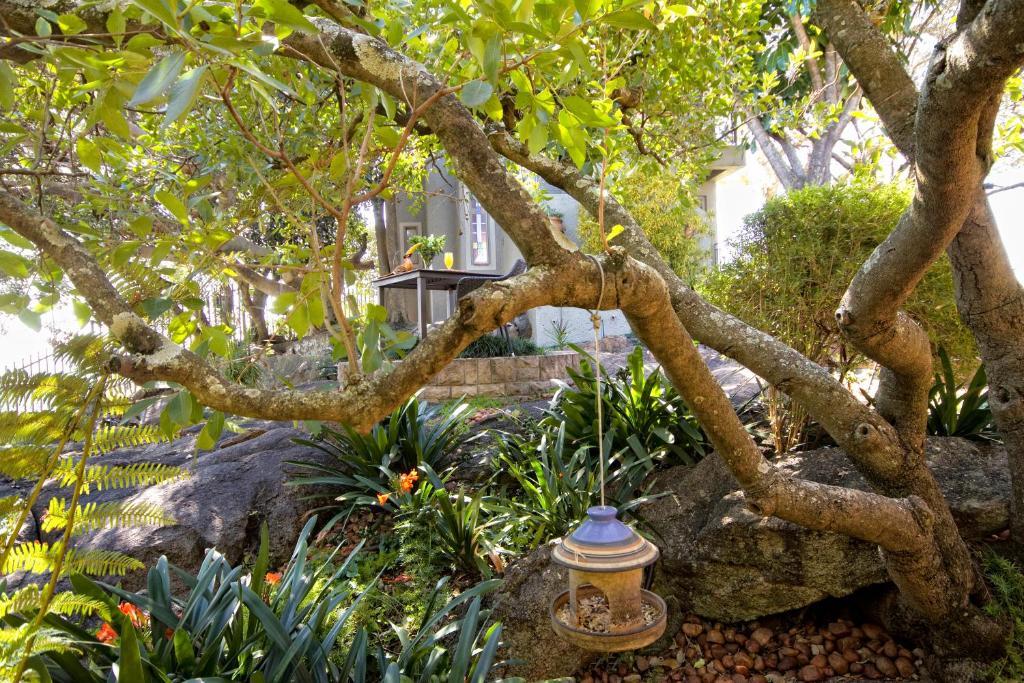Loerie'S Call Guesthouse Mbombela Dış mekan fotoğraf