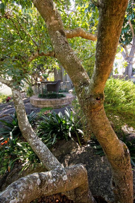 Loerie'S Call Guesthouse Mbombela Dış mekan fotoğraf